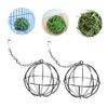 INOOMP 8-Piece Hanging Hay Ball Feeders for Rabbits, Stainless Steel, for Small Pets, Guinea Pigs and Chinchillas view 2