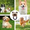 Durable Plush Dog Toy for Aggressive Chewers view 4