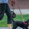 Buerfu Dog Poop Bag Clip and Carrier view 2