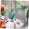 Sosoport Parrot Perch 20cm Stainless Steel view 4