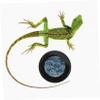 Milisten Reptile Feeding Bowl view 2