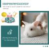 Adjustable Rabbit Harness with Leash, Outdoor Bunny Traction Rope, Durable Pet Harness for Rabbits, Green view 4
