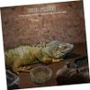 Sosoport Resin Reptile Water and Food Bowl, Brown, Large Capacity view 2