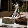 Sosoport Resin Reptile Water and Food Bowl, Brown, Large Capacity view 4