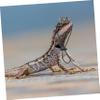 Yardwe Pet Crown Hat and Necklace for Reptiles view 2
