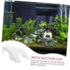Yardwe Turtle Platform with Ramp view 4