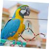 Yardwe 2-Piece Wooden Parrot Swings for Small Birds, Colorful view 3