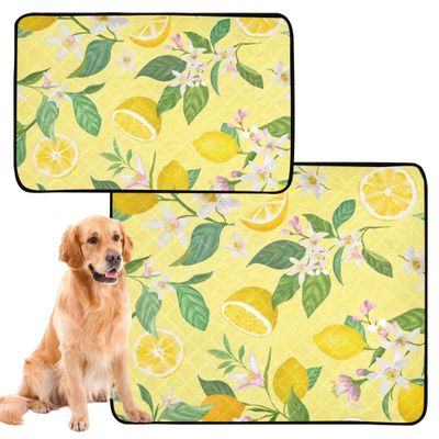 Absorbent Dog Bowl Mat, Washable, Non-Slip, 61 x 91.4 cm + 91.4 x 106.7 cm, Gold, Lemon Yellow, Tropical Fruits, Leaves & Flowers, 2-Pack