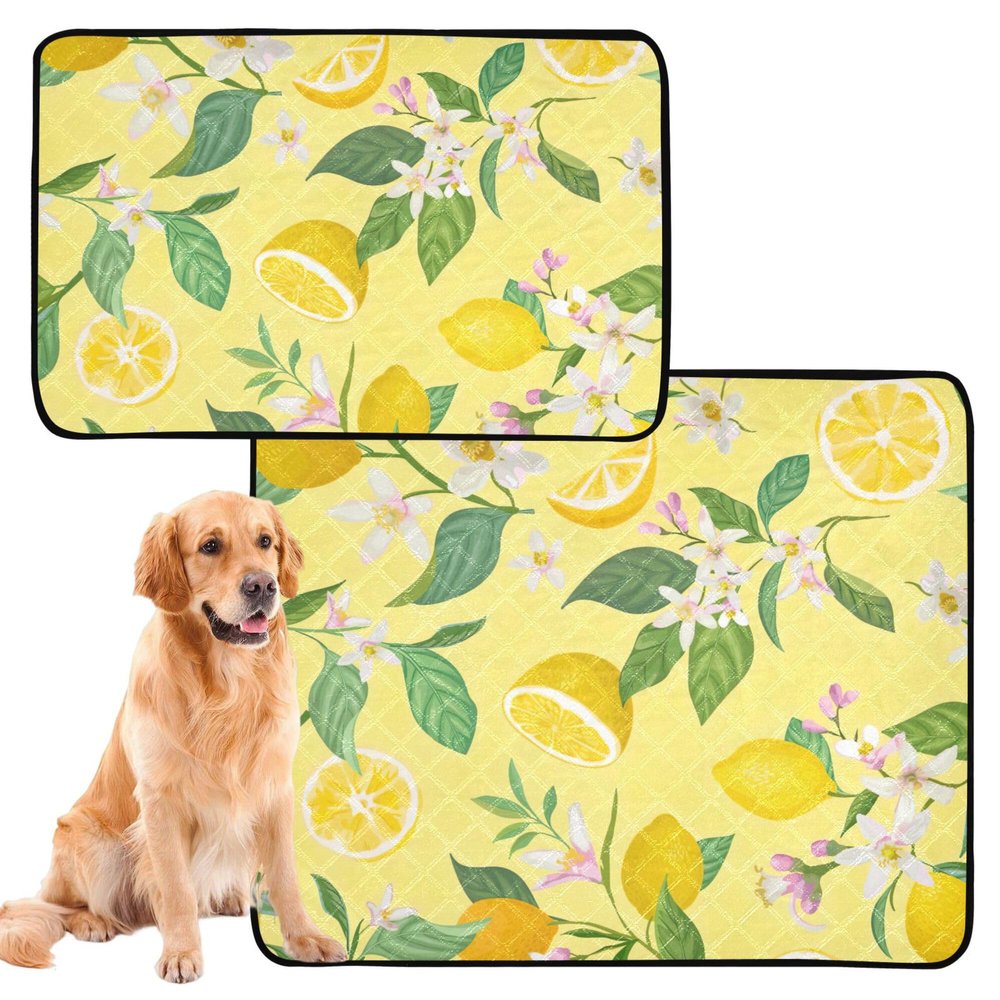 Absorbent Dog Bowl Mat, Washable, Non-Slip, 61 x 91.4 cm + 91.4 x 106.7 cm, Gold, Lemon Yellow, Tropical Fruits, Leaves & Flowers, 2-Pack