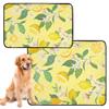 Absorbent Dog Bowl Mat, Washable, Non-Slip, 61 x 91.4 cm + 91.4 x 106.7 cm, Gold, Lemon Yellow, Tropical Fruits, Leaves & Flowers, 2-Pack view 1