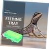 Kisangel 2-Pack Reptile Feeding Bowls with Suction Cups view 4