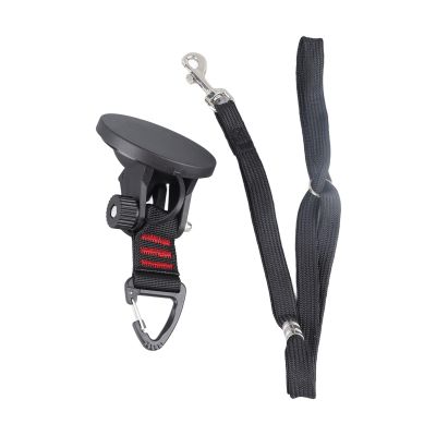 Pet Bathing Leash with Suction Cup and Adjustable Collar