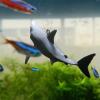 Adjustable Position Aquarium Shark Decoration view 4