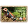Ciberate Sphagnum Moss Brick for Terrariums, 1000g view 1