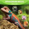 Ciberate Sphagnum Moss Brick for Terrariums, 1000g view 2