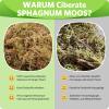 Ciberate Sphagnum Moss Brick for Terrariums, 1000g view 4