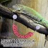 Hammock for Bearded Dragons view 2