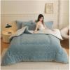 Microfiber Winter Comforter, Reversible Lamb-Fleece, Blue, 150 x 200 cm, 2 kg view 2