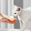 Cat Feeding Station with Strap and Squeeze Spoon view 2