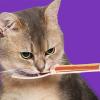 Cat Feeding Station with Squeeze Spoon view 2