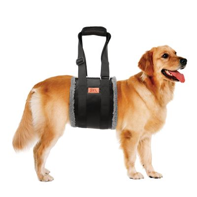 Adjustable Dog Support Sling for Rehabilitation