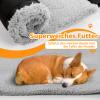Adjustable Dog Support Sling for Rehabilitation view 3