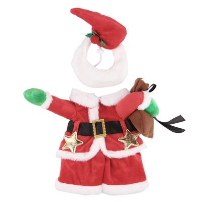 Christmas Pet Costume