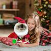 Christmas Pet Costume view 2