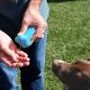 Silicone Dog Treat Pouch view 3