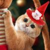 Pet Christmas Hat view 2