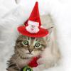 Pet Christmas Hat view 3