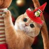 Christmas Hat for Dogs and Cats with Chin Strap view 3