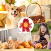 Crab Costume for Dogs view 4