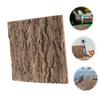 Supvox 2-Piece Bark Backgrounds for Reptile Habitats, Real Tree Bark for Aquarium Decorations and Green Plant Walls view 2