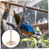 Yardwe Wooden Bird Perch for Budgies and Cockatiels view 3