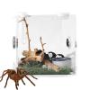 Reptile Breeding Box - Transparent Insect Feeding Container view 1