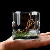 Reptile Breeding Box - Transparent Insect Feeding Container view 2