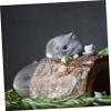 BESPORTBLE Chinchilla & Guinea Pig Sand Bath Box view 3