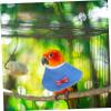 Sosoport 2-Pack Bird Neck Protection Collar view 3
