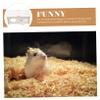 Yardwe Beige Wooden Hamster House Hut for Small Animals, Sleeping and Hiding view 4