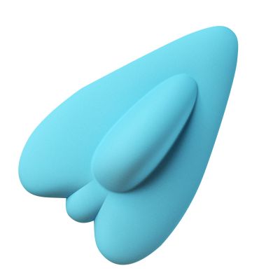 Pelvic Floor and Kegel Trainer for Bladder Control