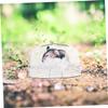 BESPORTBLE Transparent Hamster Bath Box with Sand, Hideout and Toy for Guinea Pigs and Rats view 4