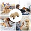 Plush Squirrel Dog Chew Toy view 4