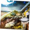 Yardwe Lightweight Plastic Reptile Feeding Bowl view 3