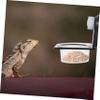 Yardwe Lightweight Plastic Reptile Feeding Bowl view 4