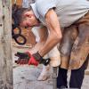 Hoof Trimmer for Goats and Sheep view 2
