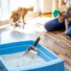 Deep Cat Litter Scoop for Pets view 3