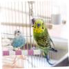 GRIRIW Parrot Perch 20cm Stainless Steel view 4