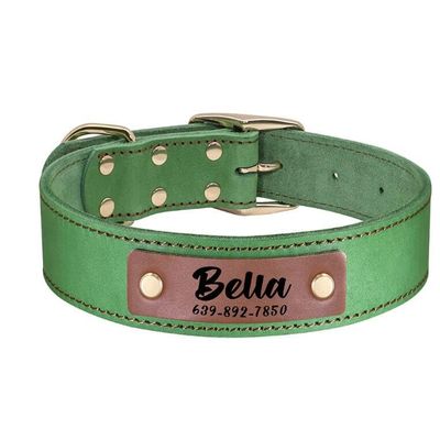 Personalized Adjustable Dog Collar with Engraved ID, Green, XL
