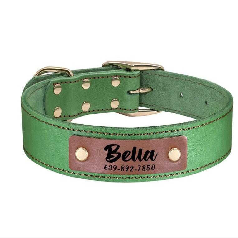Personalized Adjustable Dog Collar with Engraved ID, Green, XL